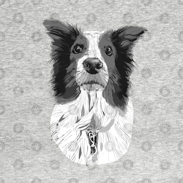 Australian Shepard Graphic by russodesign